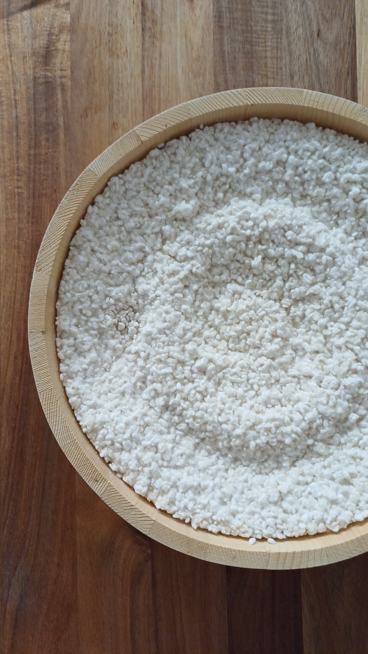 Close-up of koji rice culturing in a wooden tray